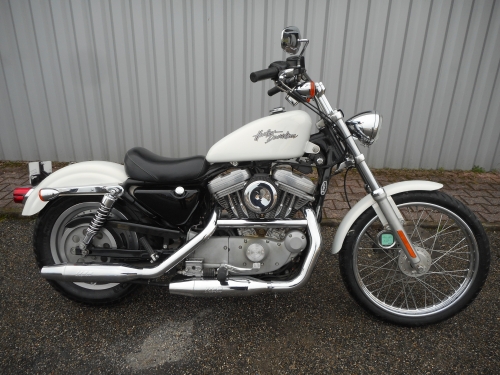 Harley Davidson Sportster  XL883C