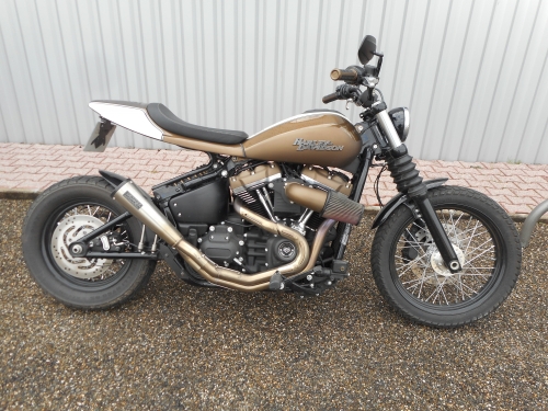 Harley Davidson StreetBob Dirt Bike